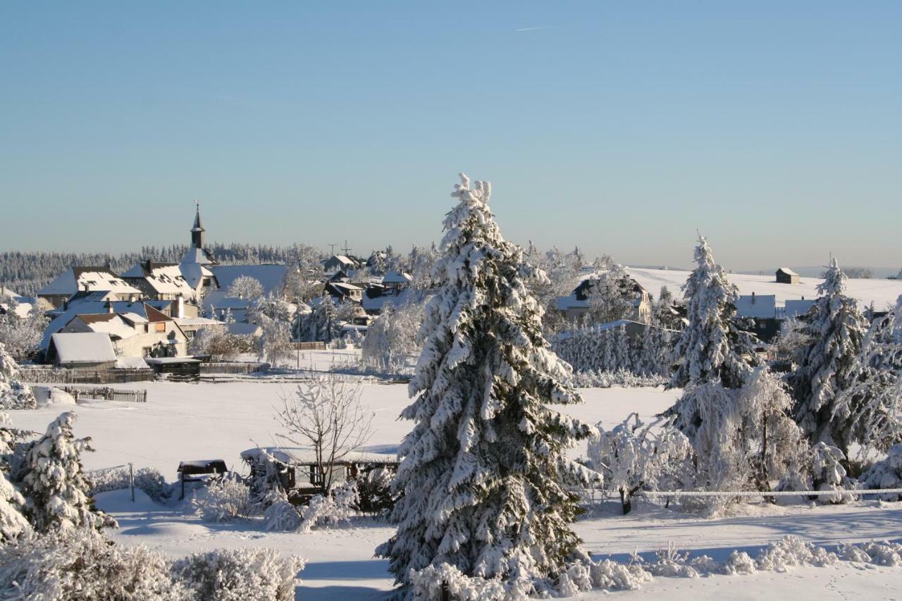 Landhaus Edelweiss Bed&Breakfast - Adults Only Neustadt am Rennsteig Kültér fotó